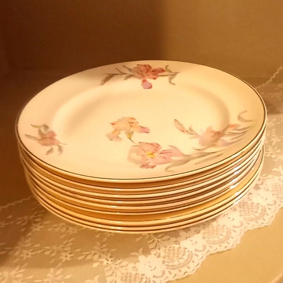 Vintage Universal Cambridge Iris Plate Bundle - 9 - 9.25" Dinner Plates - Picture 8 of 11